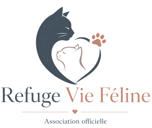 Refuge Vie Féline